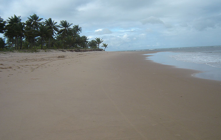 barra_06